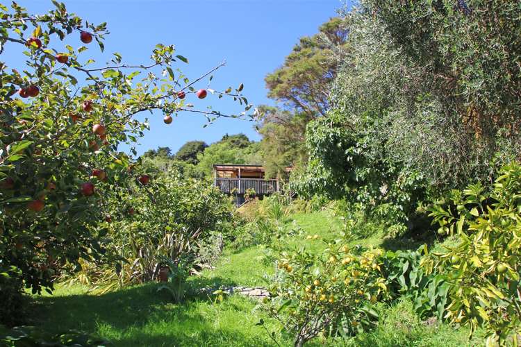 83 Upper Rocklands Road Kahurangi National Park_18