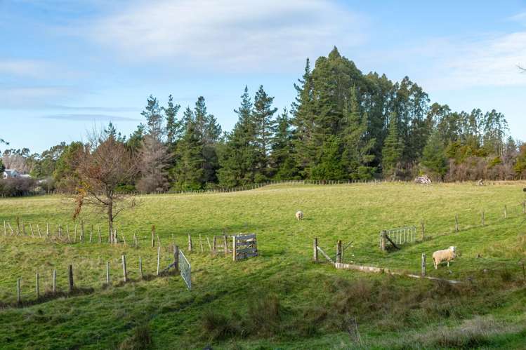803 Norfolk Road Carterton_2