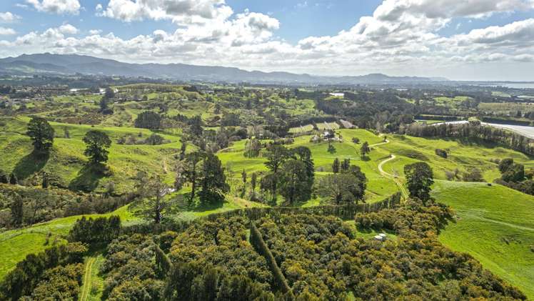 231 Walford Road Aongatete_4