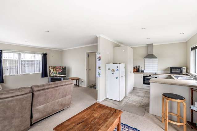 17a Prospect Terrace Pukekohe_3