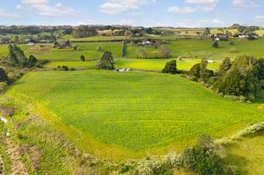 33 Morley Road_1