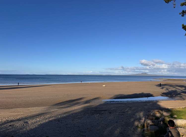 Address withheld Browns Bay_1