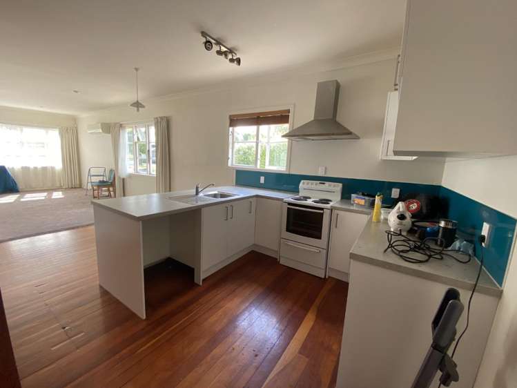 134 Albert Street Hamilton East_3
