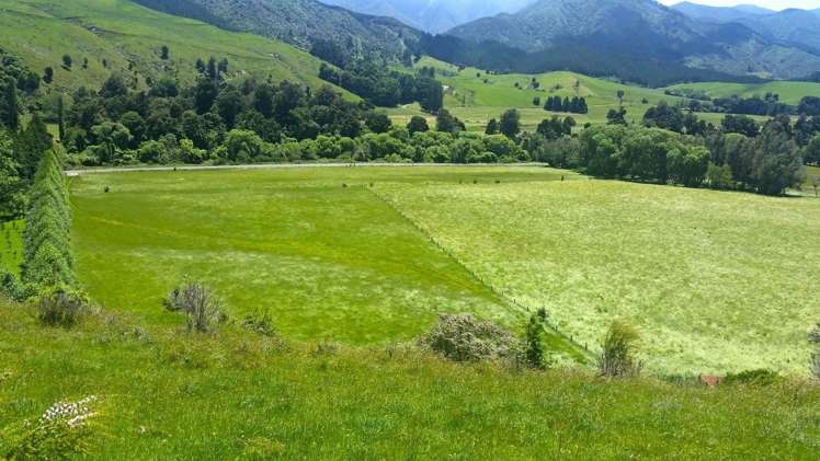 Motueka Valley Highway Motueka_1