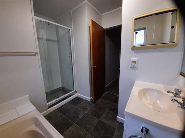 2 Kingston Street Awapuni_4