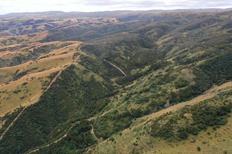 732 Beaumont Highway Clutha_24