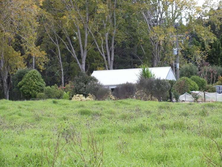 1884 Tangowahine Valley Road Dargaville Surrounds_18