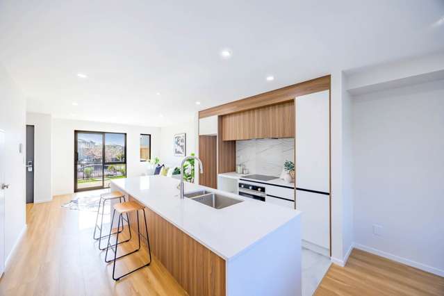 56 Adamson Road Flat Bush_3