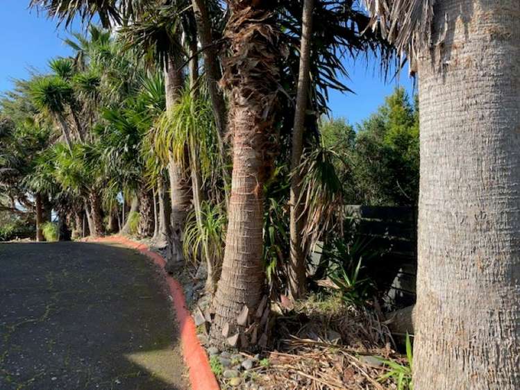 706 Ponga Road Opaheke_5