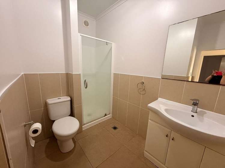 19 Triumph Road Flat Bush_4