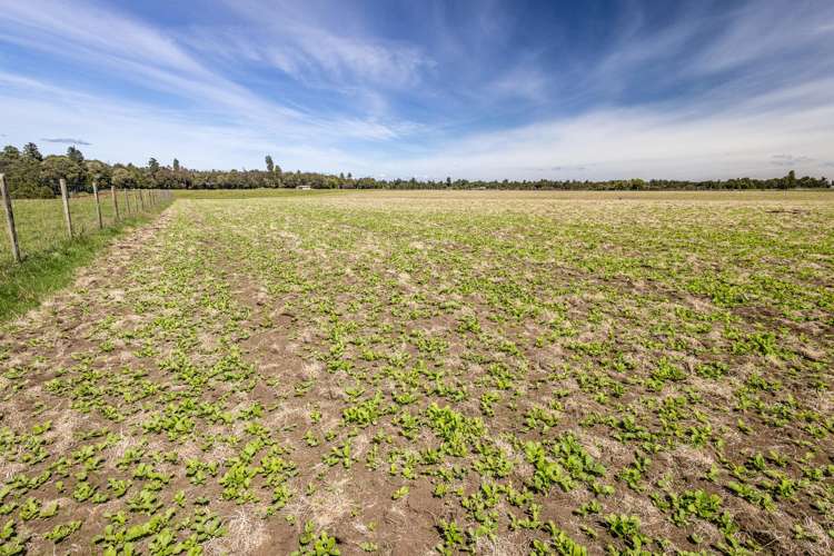 Lot 13 Matapuna Road_5