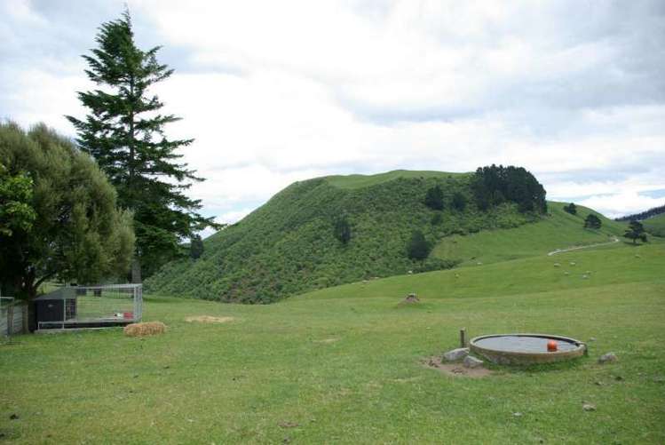 269 Whakaroa Road Kinloch_16