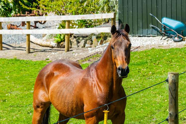 29 Keer Road Dargaville_29