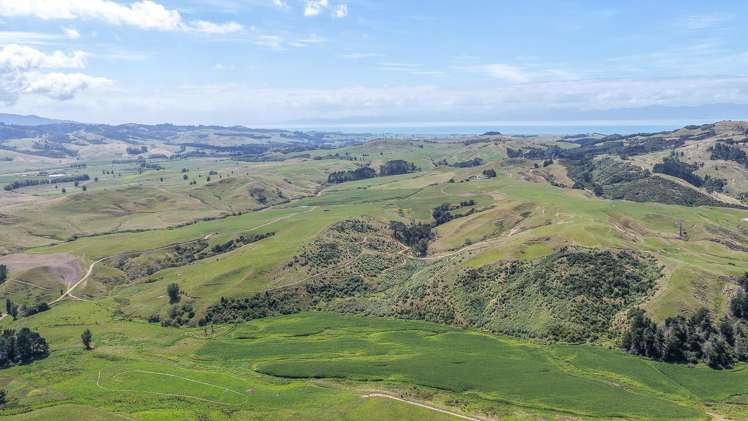 528 Monument Road Maramarua_29