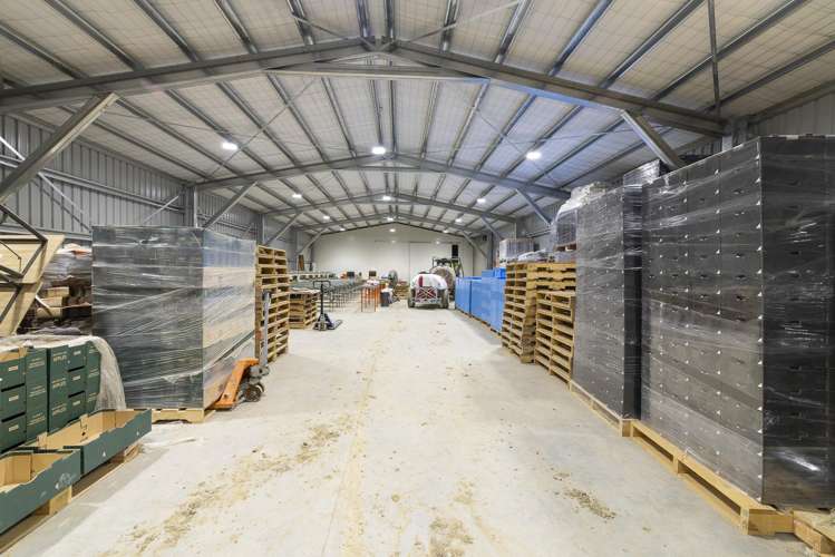 159 Thomson Gorge Road Cromwell_18