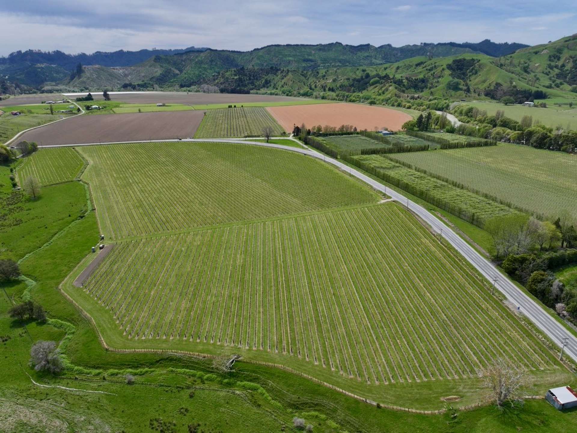 2057 Matawai Road Te Karaka_0