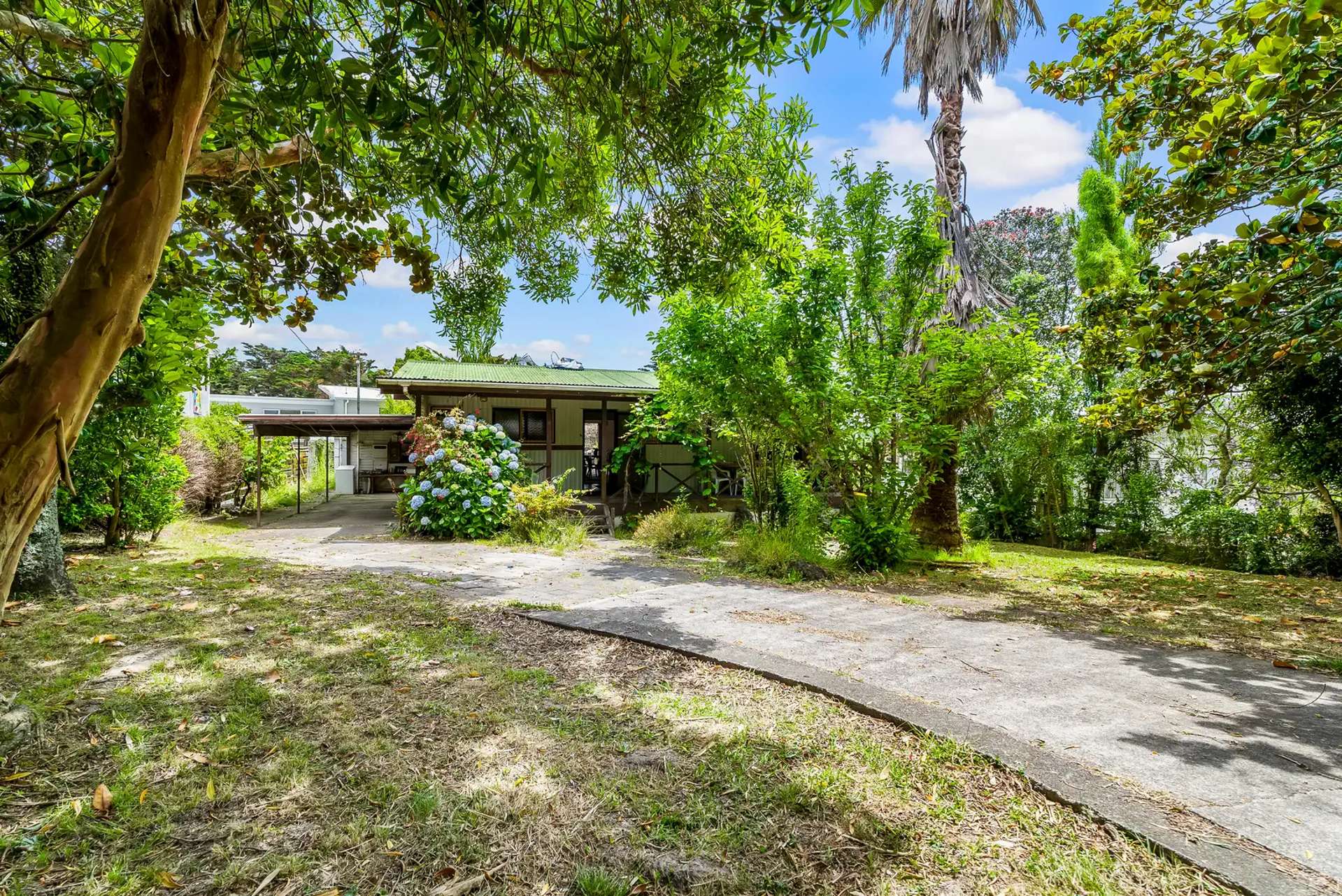 355 Whangaparaoa Road Stanmore Bay_0