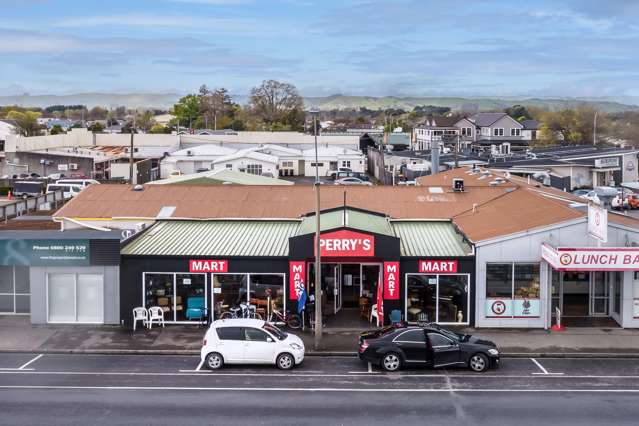227 Chapel Street Masterton_4