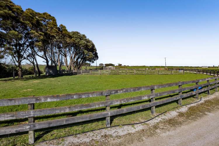 1306 Normanby Road Manaia_43