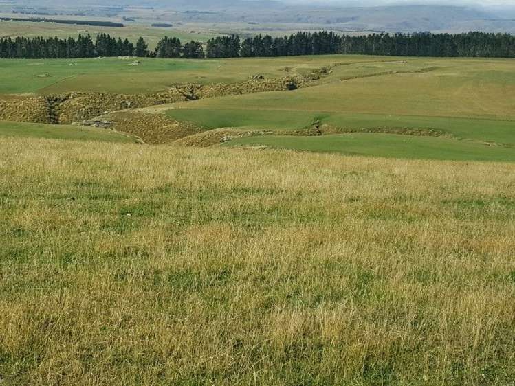 295 Wallaces Ford Road Hindon_13