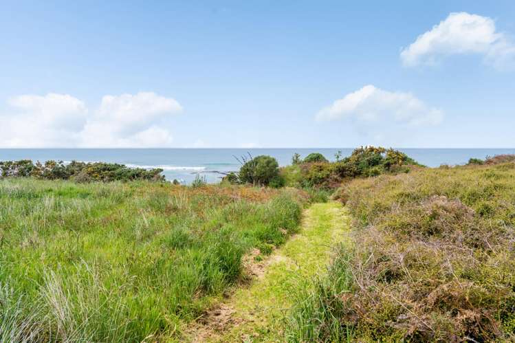 384 Taieri Mouth Road Kuri Bush_16