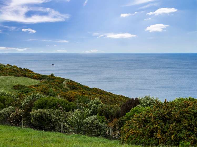 281 Hillhead Road Corstorphine_10