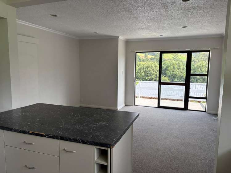 489 Kaikorai Valley Road Bradford_6