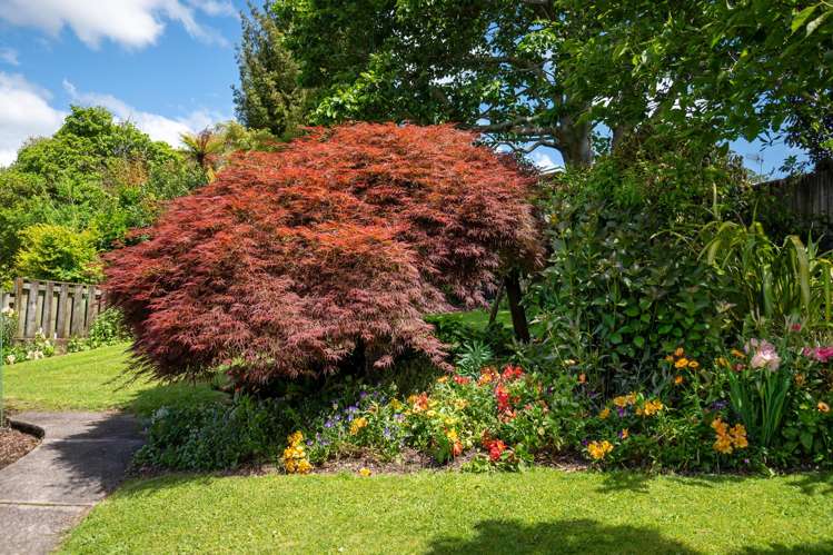 6 Gillam Crescent Springfield_39