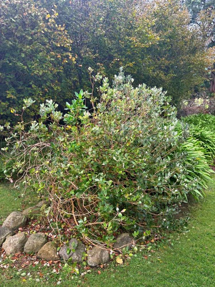 100b No 4 Line 10920_23