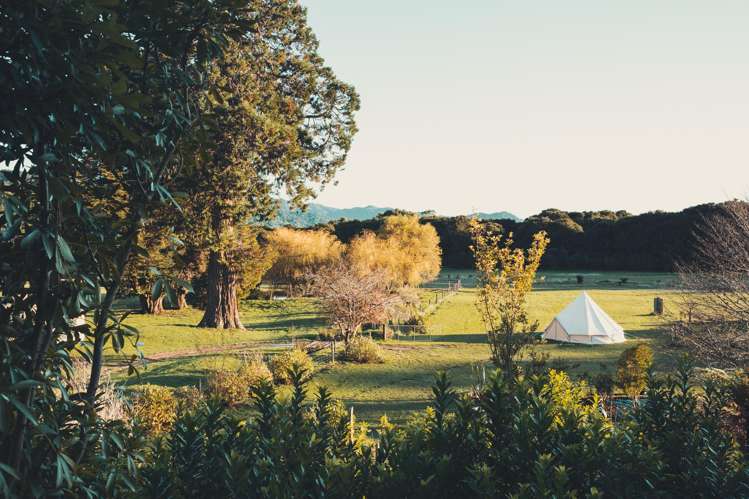 49 Awaroa Inlet Awaroa_11