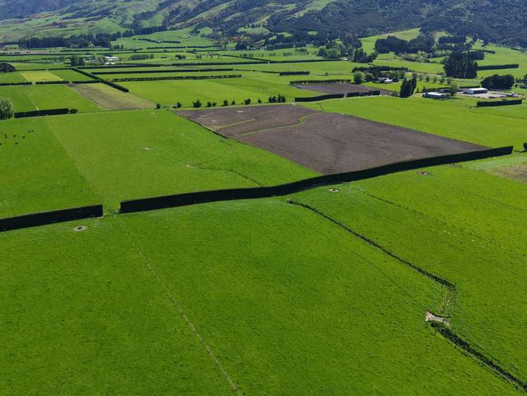 35 Maungatua Road Taieri Plain_6