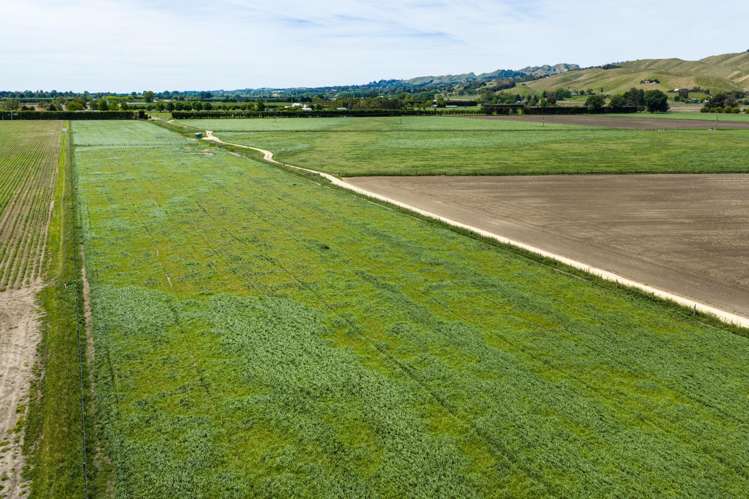 85 West Road Havelock North_19