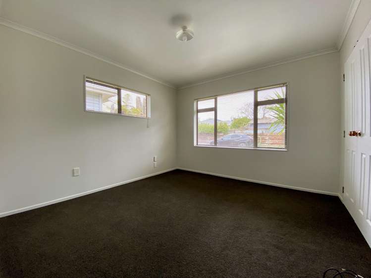 8a Darley Street Maeroa_6