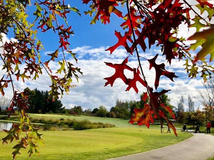 7 Taerutu Lane Pegasus_9