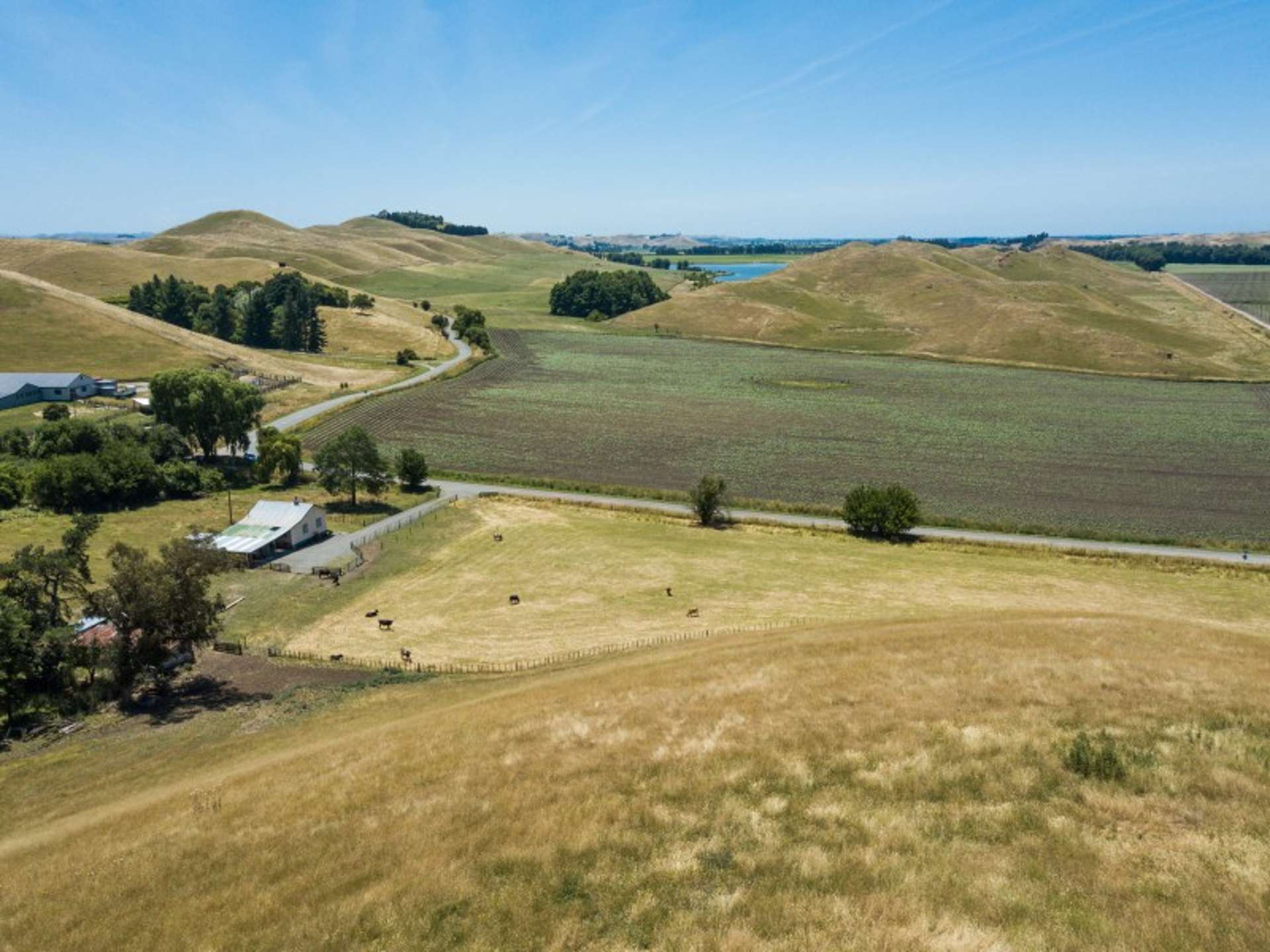 360 Valley Road Central Hawkes Bay Coastal_0