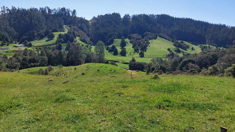 1104 Tapuhi Road Hikurangi Rd2_16