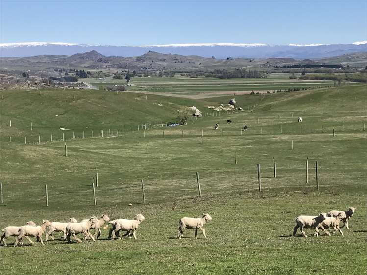 3066 Lauder-Omakau Road Omakau_8