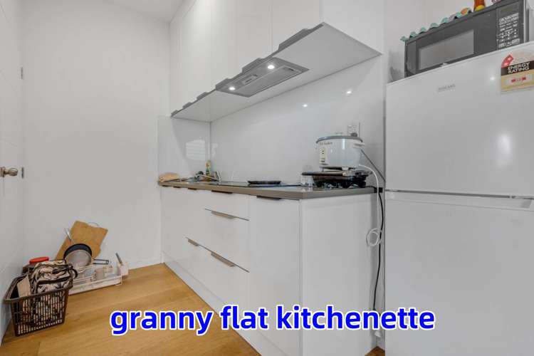 10 Tinaku Road Flat Bush_22