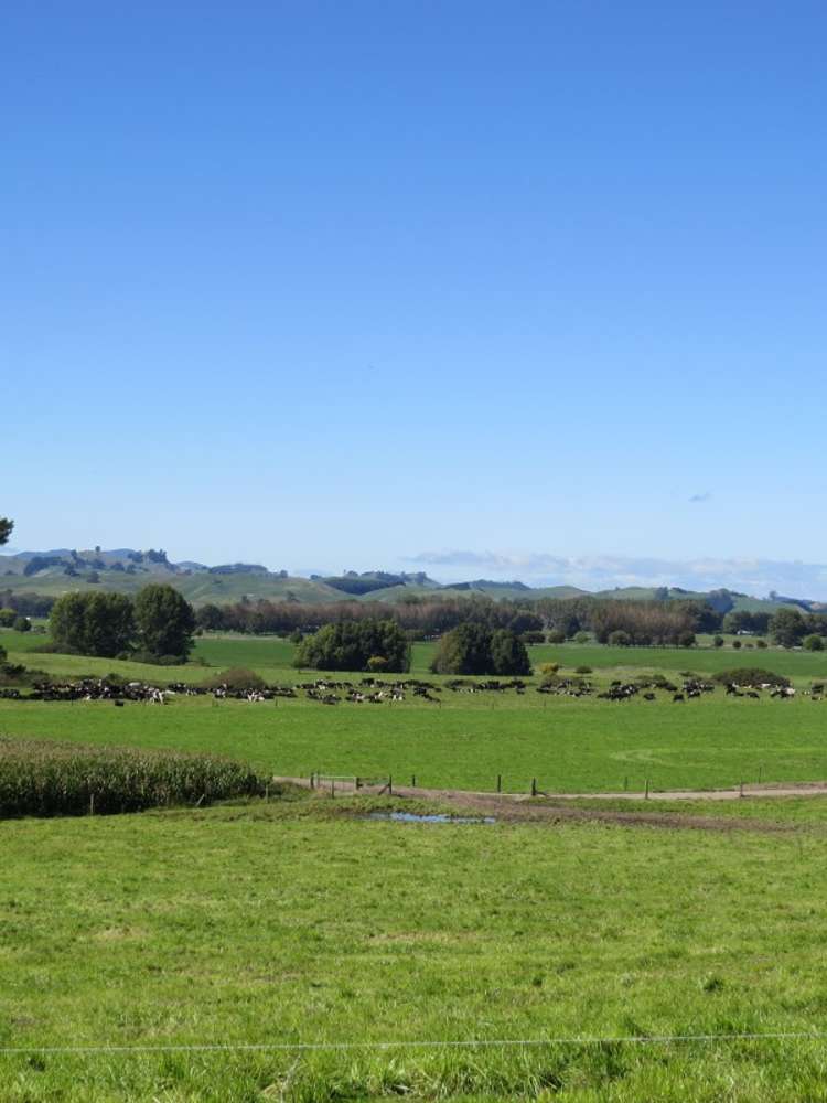 6261 State Highway 1 Kinleith_23