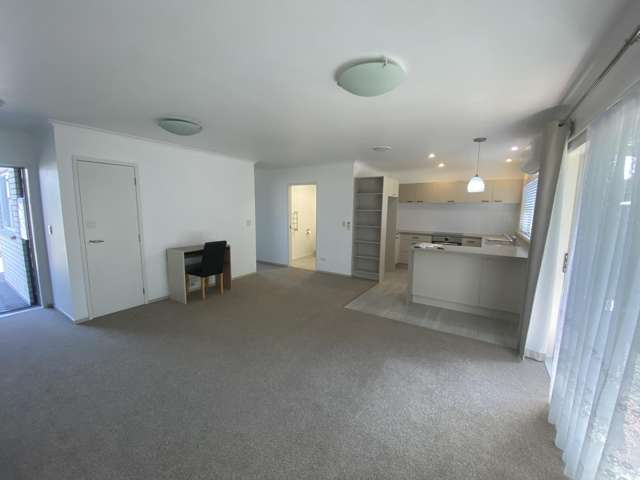 17E Maitland Street Frankton_3