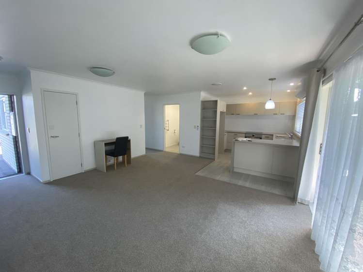 17E Maitland Street Frankton_3