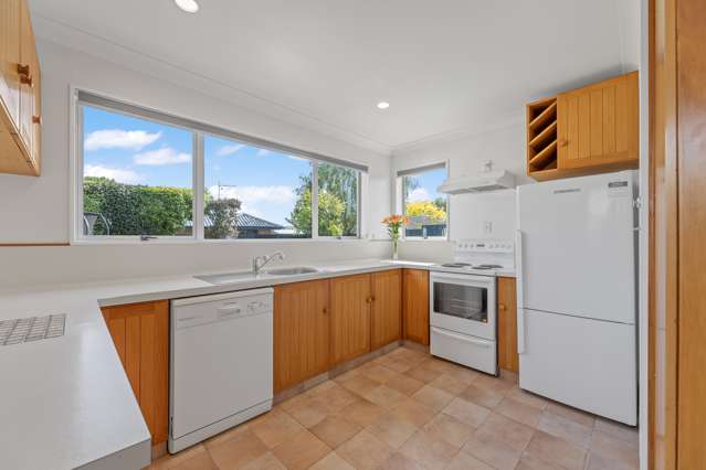 44 Leefield Street Blenheim Central_1