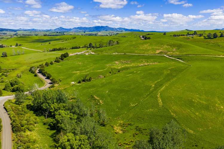 148 Malone Road Kokopu_22