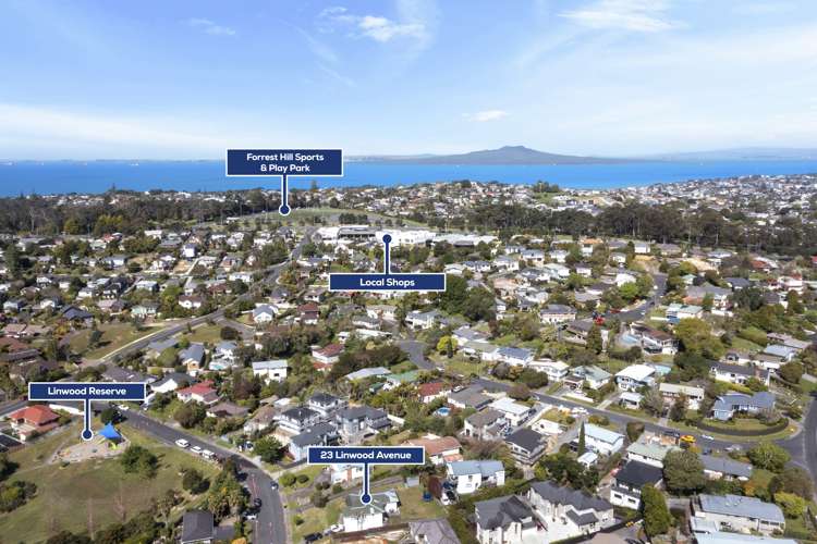 23 Linwood Avenue Forrest Hill_17