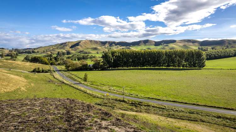 1427 Middle Road Poukawa_14