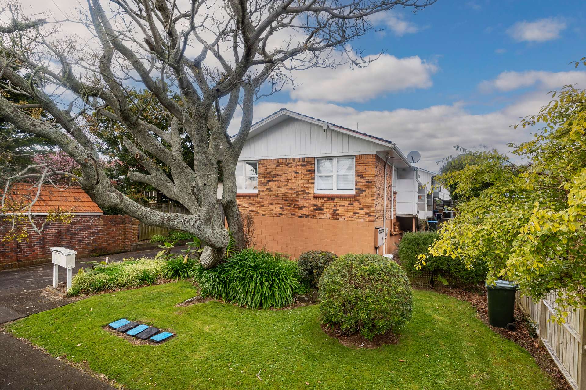 8A - 8E Fairleigh Avenue Mount Albert_0