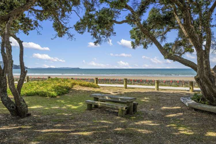 387-391 Hibiscus Coast Highway Orewa_13