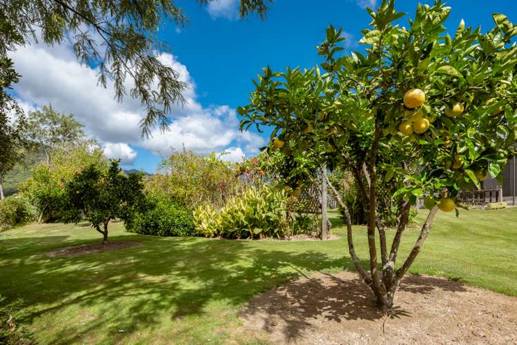 355 Anakiwa Road Anakiwa and Surrounds_8