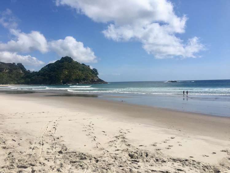 6 Iona Road Great Barrier Island_15
