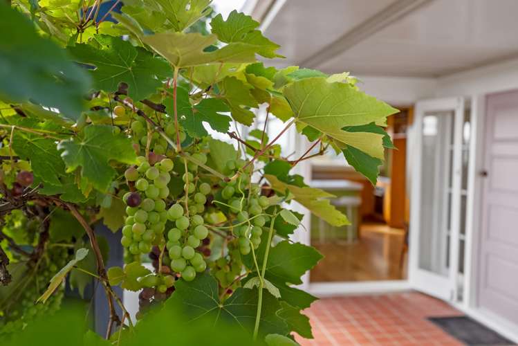 5A Paratai Crescent Woodhill_20